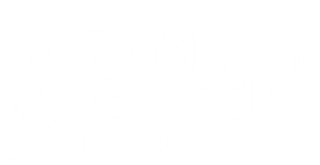 The Publication awards: 2023 Winner